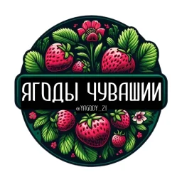 Ягоды Чувашии 🍓 Агроблог | Клубника | Рассада | Чебоксары