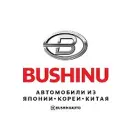 BUSHINUAUTO