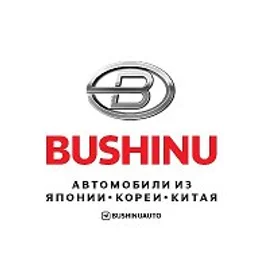 BUSHINUAUTO