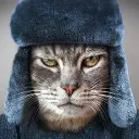 Кошкин Сибиряк