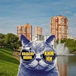 Химки