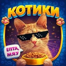 КОТИКИ 😻