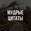 Мудрые цитаты