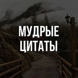 Мудрые цитаты
