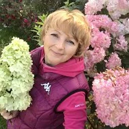 Цветули у Светули