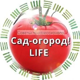 Сад огород life