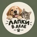 Лапки в деле 🐾
