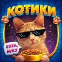 КОТИКИ 😻