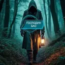 Господин БАО