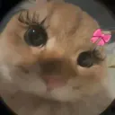 Кружочки