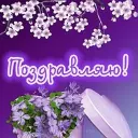 Открытки и поздравления 🌷
