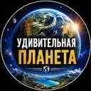 Удивительная планета 🌍