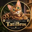 𝐓𝐚𝐭𝐢𝐁𝐫𝐨'𝐬 питомник кошек бенгальской породы ТатиБро