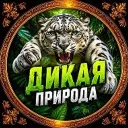 Дикая природа
