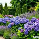 🌿 Сад для занятых: лайфхаки, уход, растения.