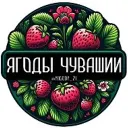 Ягоды Чувашии 🍓 Агроблог | Клубника | Рассада | Чебоксары