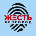 Жесть Белгород