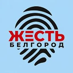 Жесть Белгород