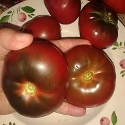 Огород, сад, цветы - правильно! А как вкусно!