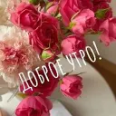 Доброе утро - день - вечер! Спокойной ночи!