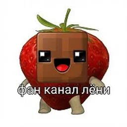 Лёня Майнкрафтер ☑️