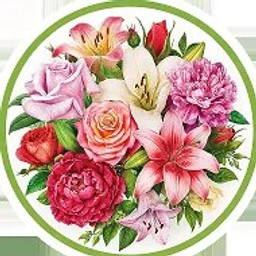 Цветы и растения