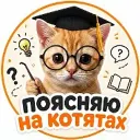 КОТЯТА ПОЯСНЯЮТ