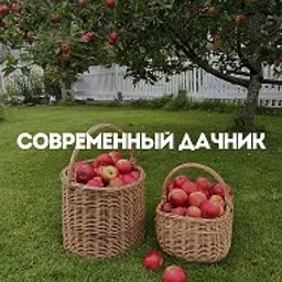 Современный дачник