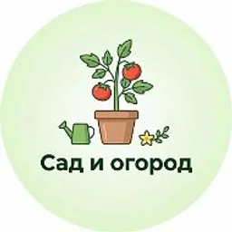 Дача Сад Огород
