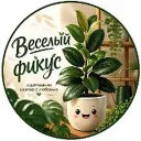 Весёлый фикус • Цветы • Растения