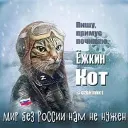 Ёжкин кот