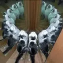 Follyflly
