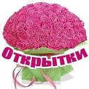 Открытки Поздравления Пожелания С Днём Рождения