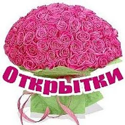 Открытки Поздравления Пожелания С Днём Рождения