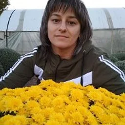 Мультифлора