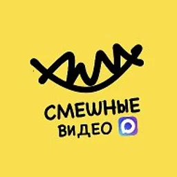 Это БАЗА | Смешные видео | приколы | мемы | юмор
