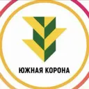 Южная Корона