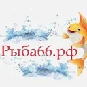 Рыба Екатеринбург Рыба66