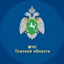 МЧС Томской области