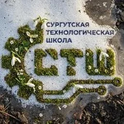 МБОУ "СТШ"