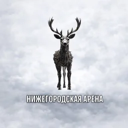 Нижегородская арена | Спорт Нижний Новгород