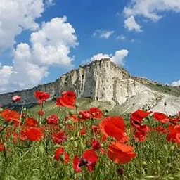Крымовед. О Крыме. Гид по Крыму