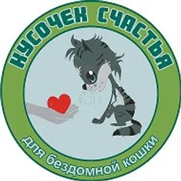 Кусочек счастья для бездомной кошки