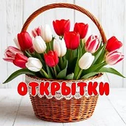Открытка дня | дарим настроение