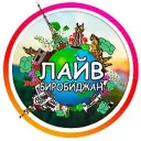 ЛАЙВ Биробиджан
