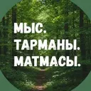 Новости: Мыс, Тарманы, Матмасы. Тюмень