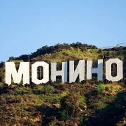 Типичное МОНИНО™
