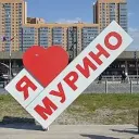 Новости Мурино, Девяткино, Бугры