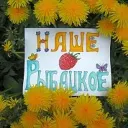 Рыбацкое - Невский район