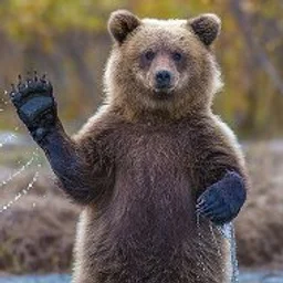 КРАСИВЫЕ КАДРЫ